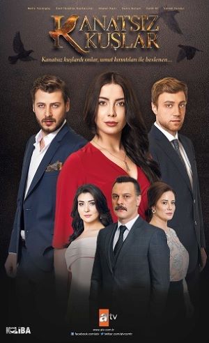 Бескрылые птицы .jpg