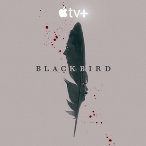 Чёрная птица.jpg