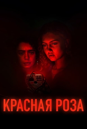 Красная роза.jpg
