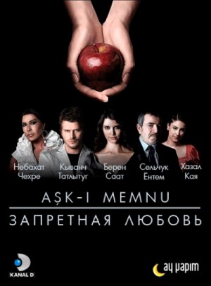 Запретная любовь 2008.jpg