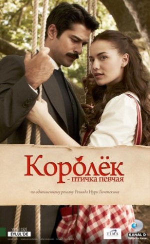 Королёк - птичка певчая.jpg